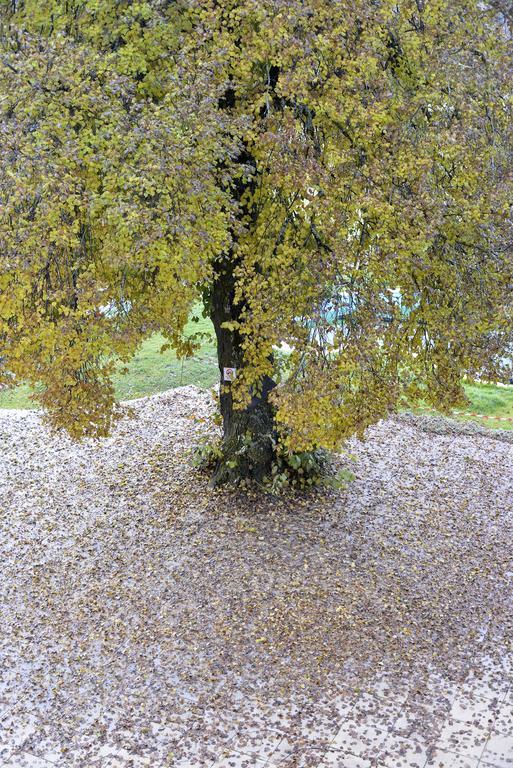 L'escale En Ubaye *