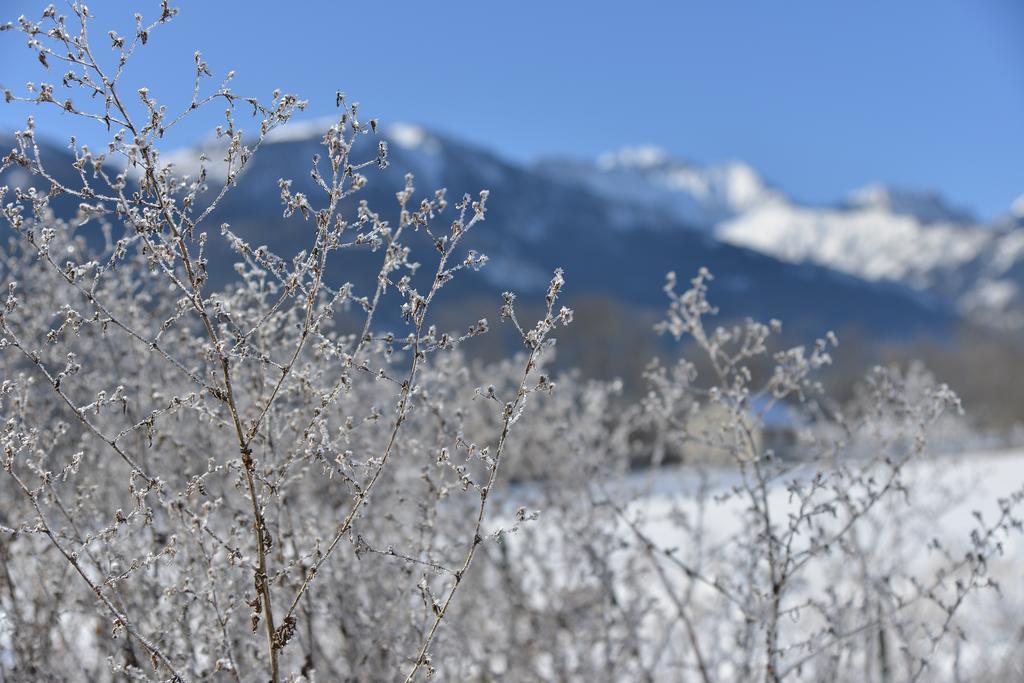 Frühstückspension L'escale En Ubaye Saint-Pons (Alpes-de-Haute-Provence)